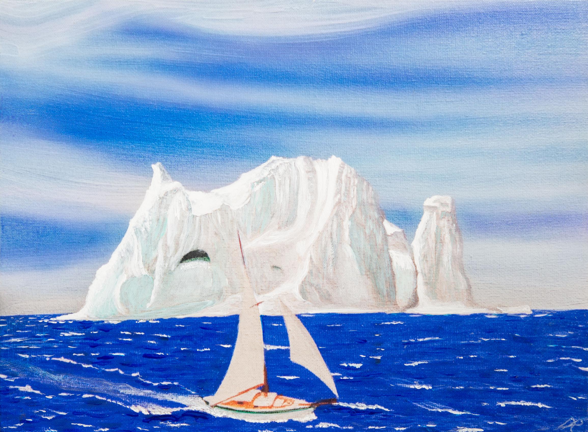 Petrel in the Antarctic